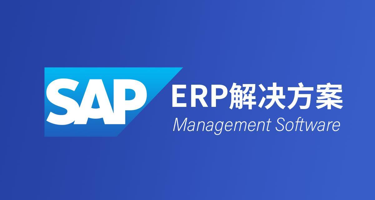 上海印岩SAP实施